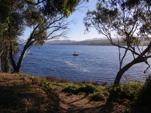 boat on the huon (1)