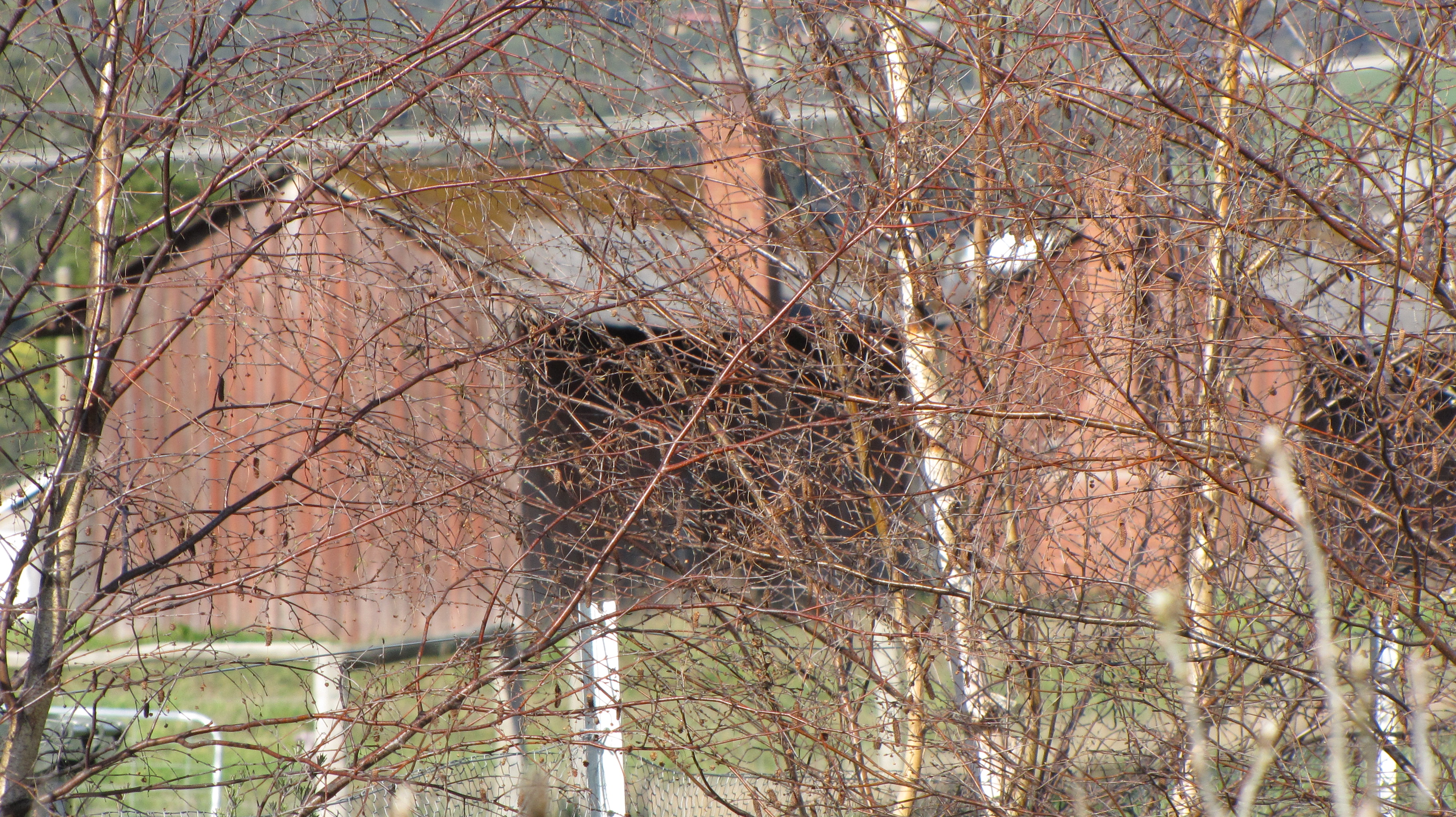 Weekly Photo Challenge: Abandoned