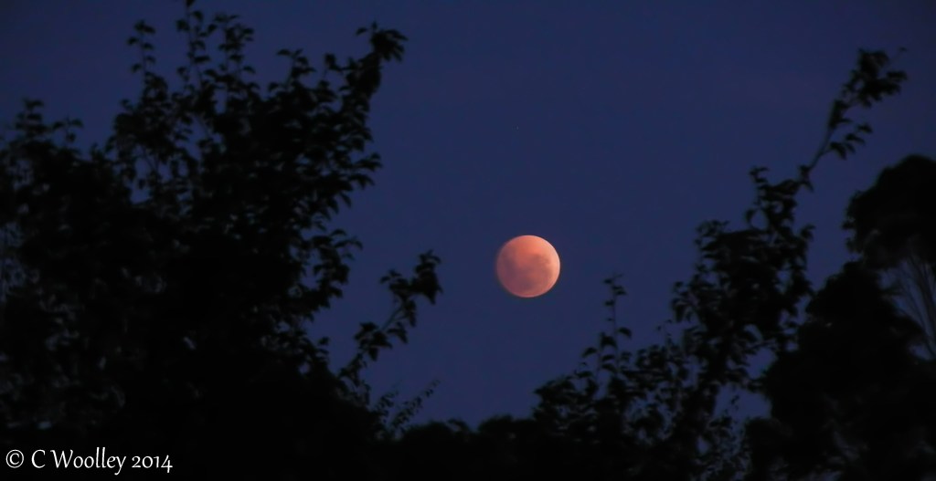 Doesn't look like cheese to me