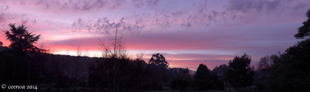 11 June 2014 Morning Panorama