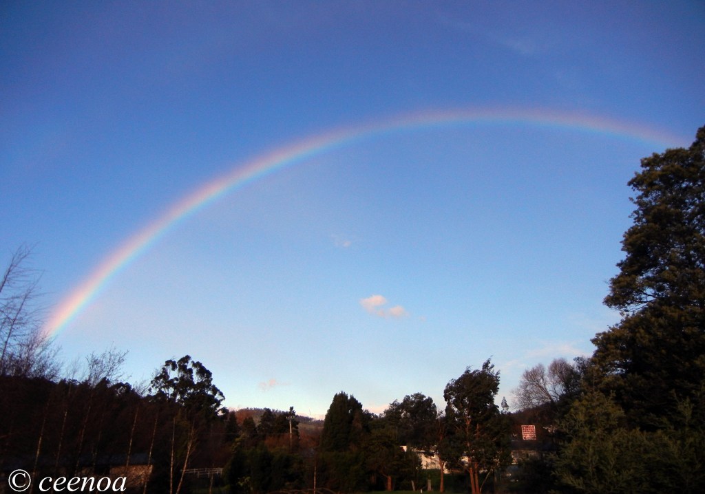 Ranibow 6 Aug 2014 (2)