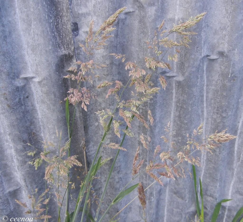 last day of 2013 (11)