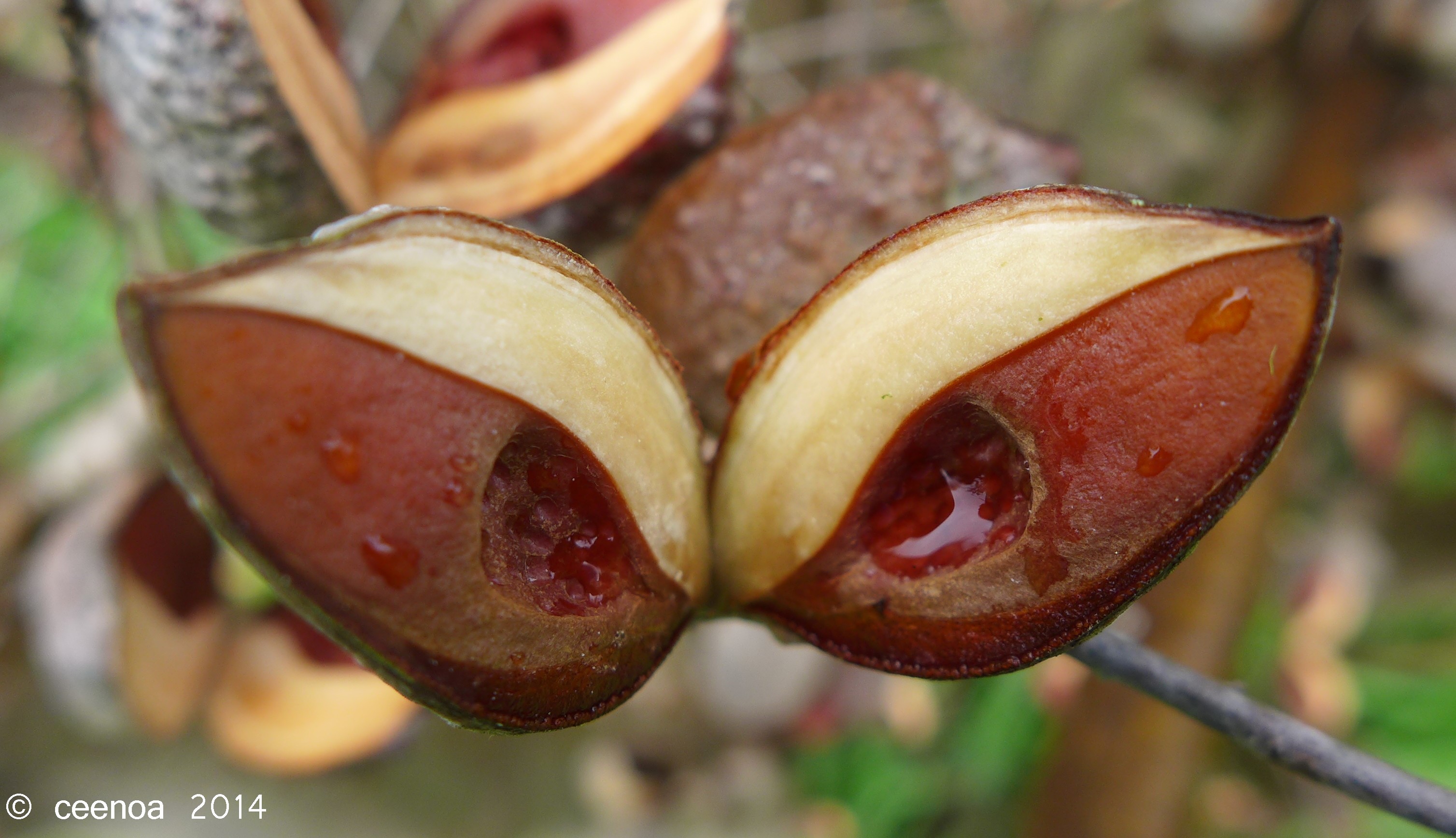 Are you looking at me?