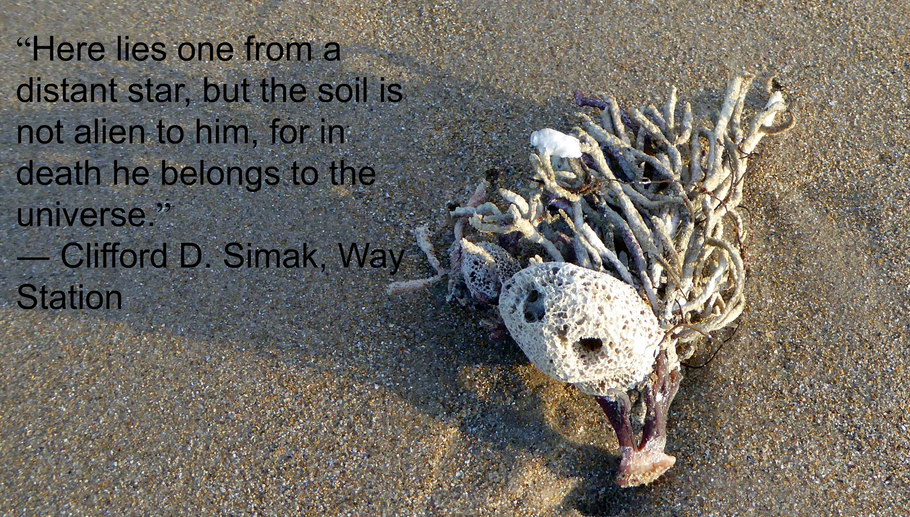 Clifford Simak Quote