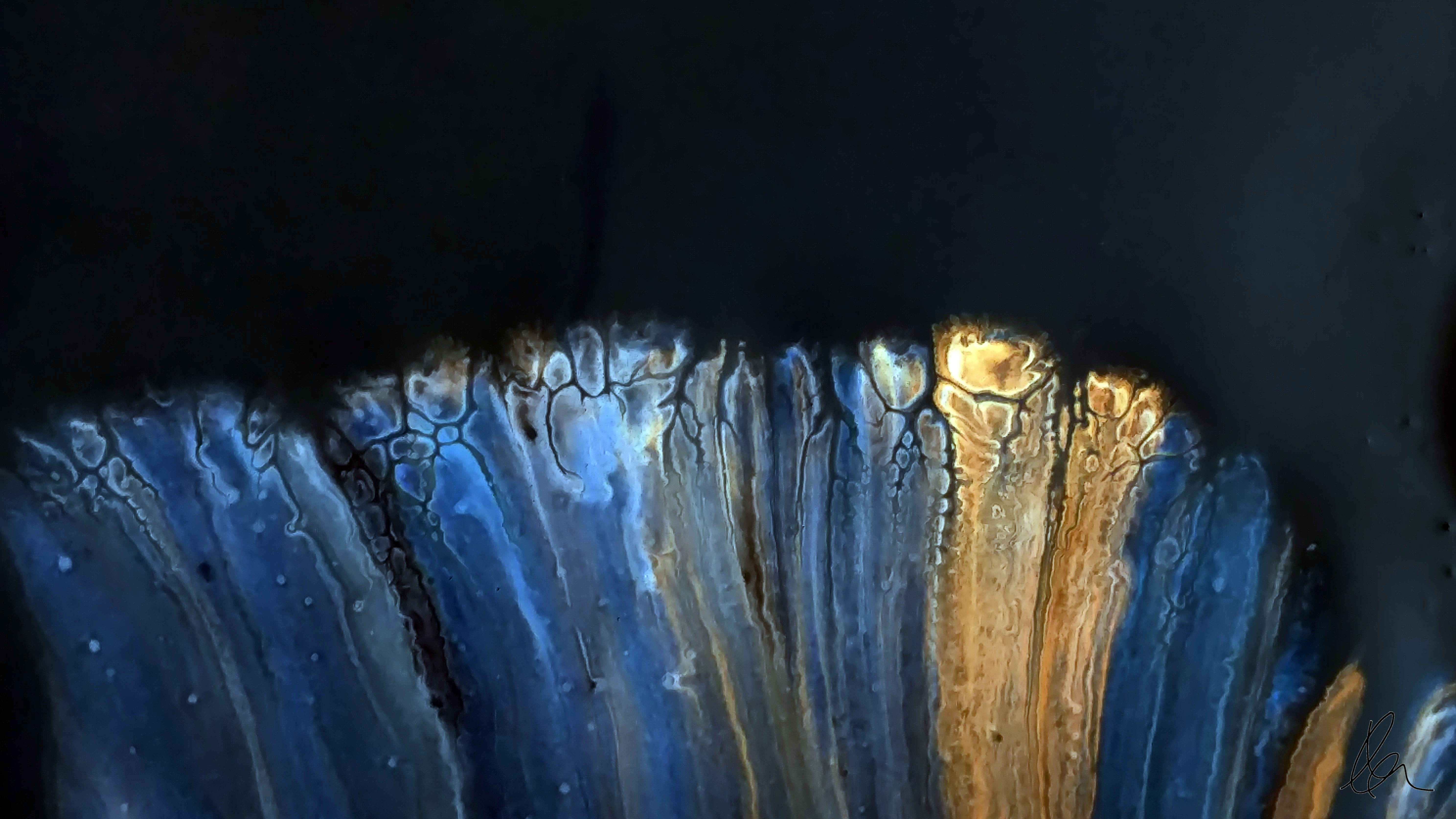 Eli's String Pull Paintings (4) inverted